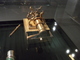 photo - whole telescope