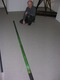 photo - whole telescope