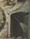 photo - whole telescope