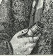44957158