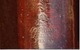 photo - signature