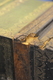 photo - detail