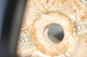 photo - detail