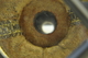 photo - detail