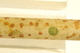 photo - detail