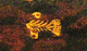 photo - detail