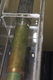 photo - detail