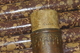 photo - detail