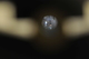 photo - other