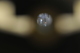 photo - other
