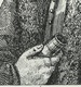 photo - whole telescope
