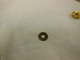 photo - whole telescope