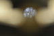 photo - whole telescope